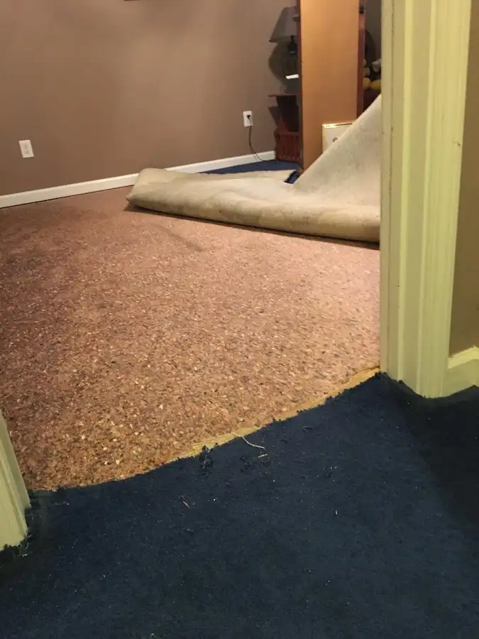 Carpet pad removal revealing water damage during Water Mitigation Services in Randolph Town