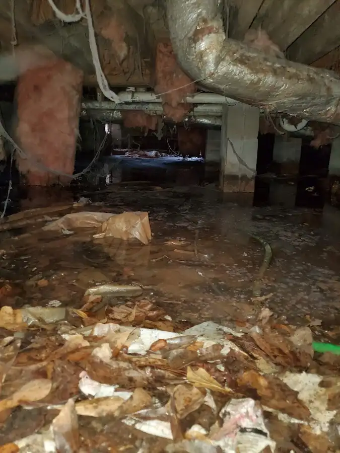 Crawl space flood assessment for Leak Detection & Repair in Randolph Town